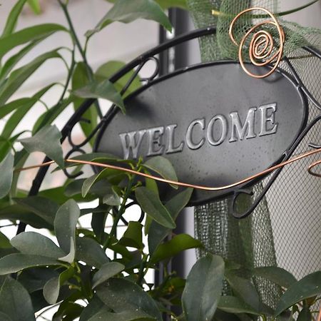 Hotel Alfredo'S リミニ エクステリア 写真